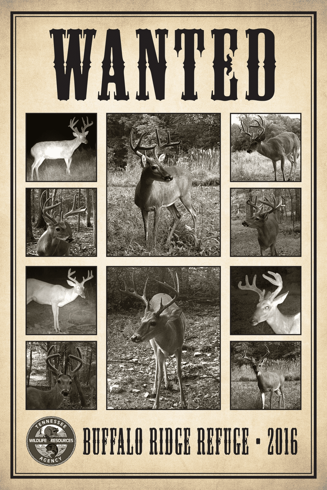 Buffalo Ridge Refuge - UPDATE from the hunt | Tennessee Deer Sporting ...