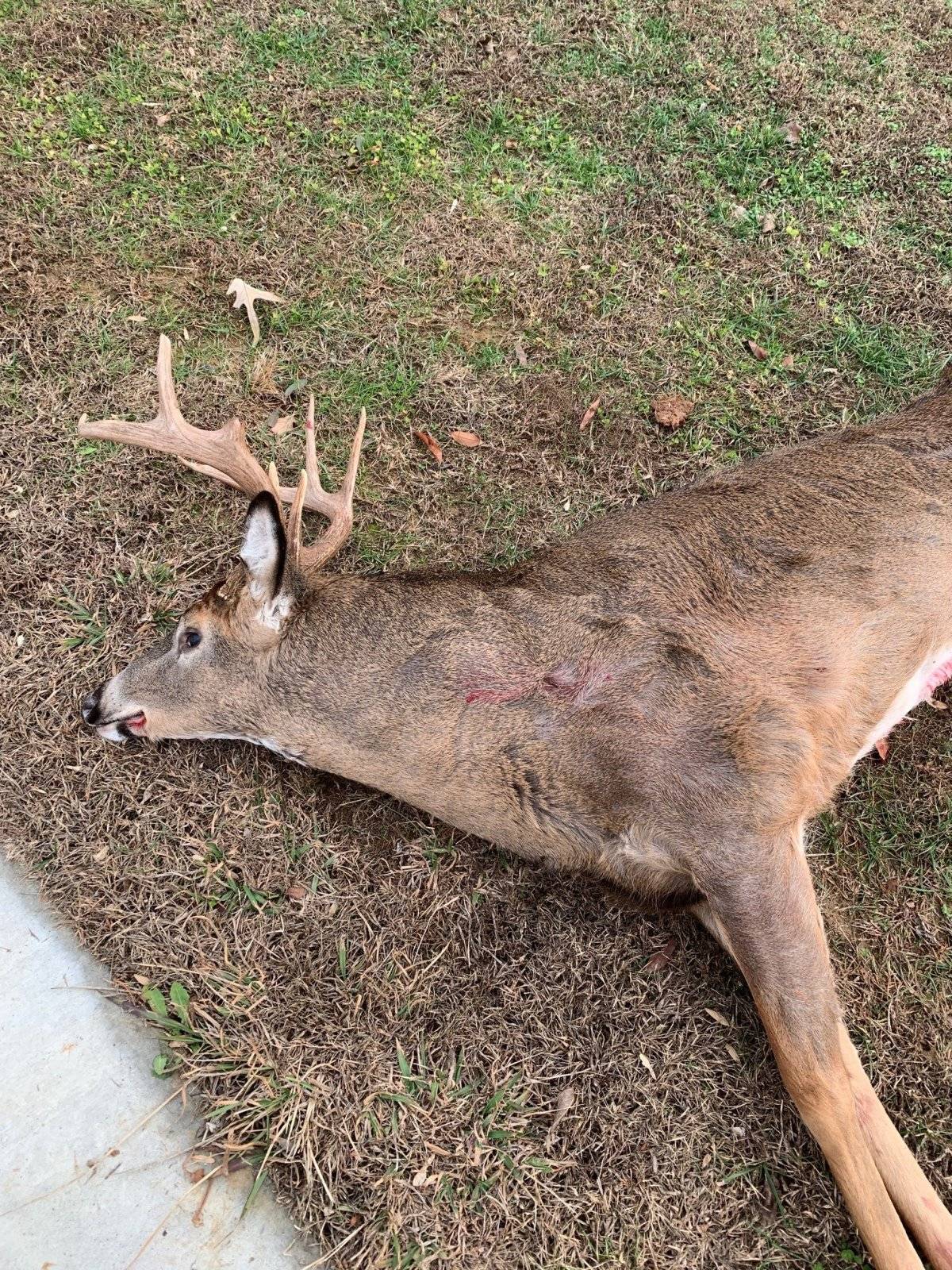 9 pt b..jpg