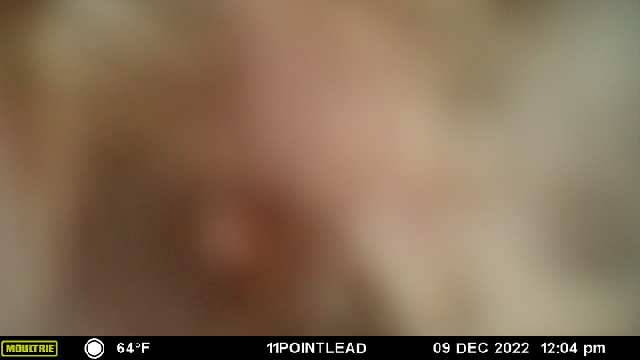 6FD9AEDD-9AF2-4CF6-A306-BBBA9470EA09.jpeg