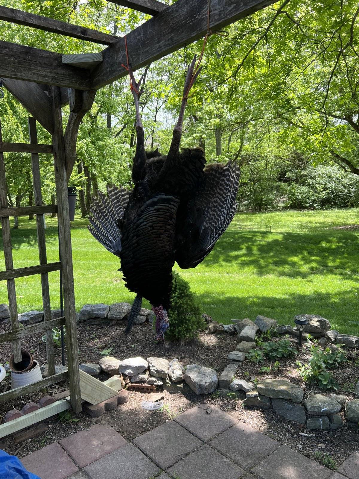 IMG_7085.jpeg