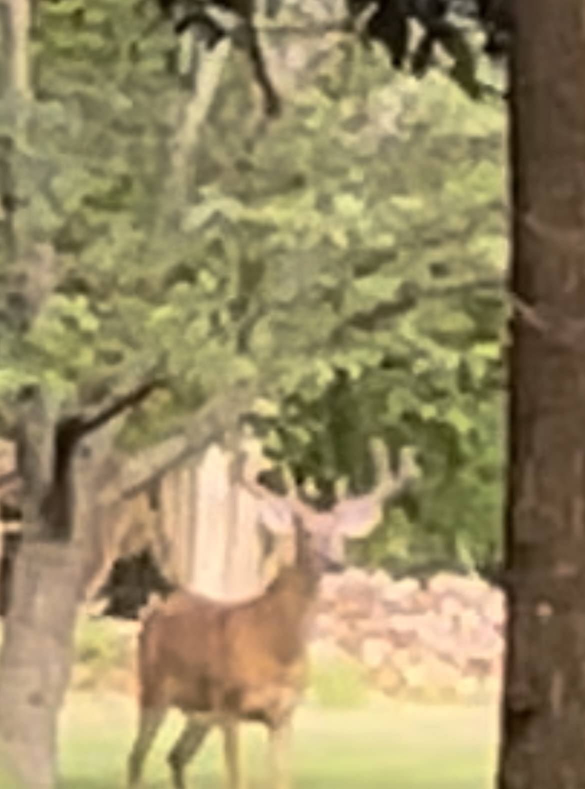 IMG_5757.jpeg