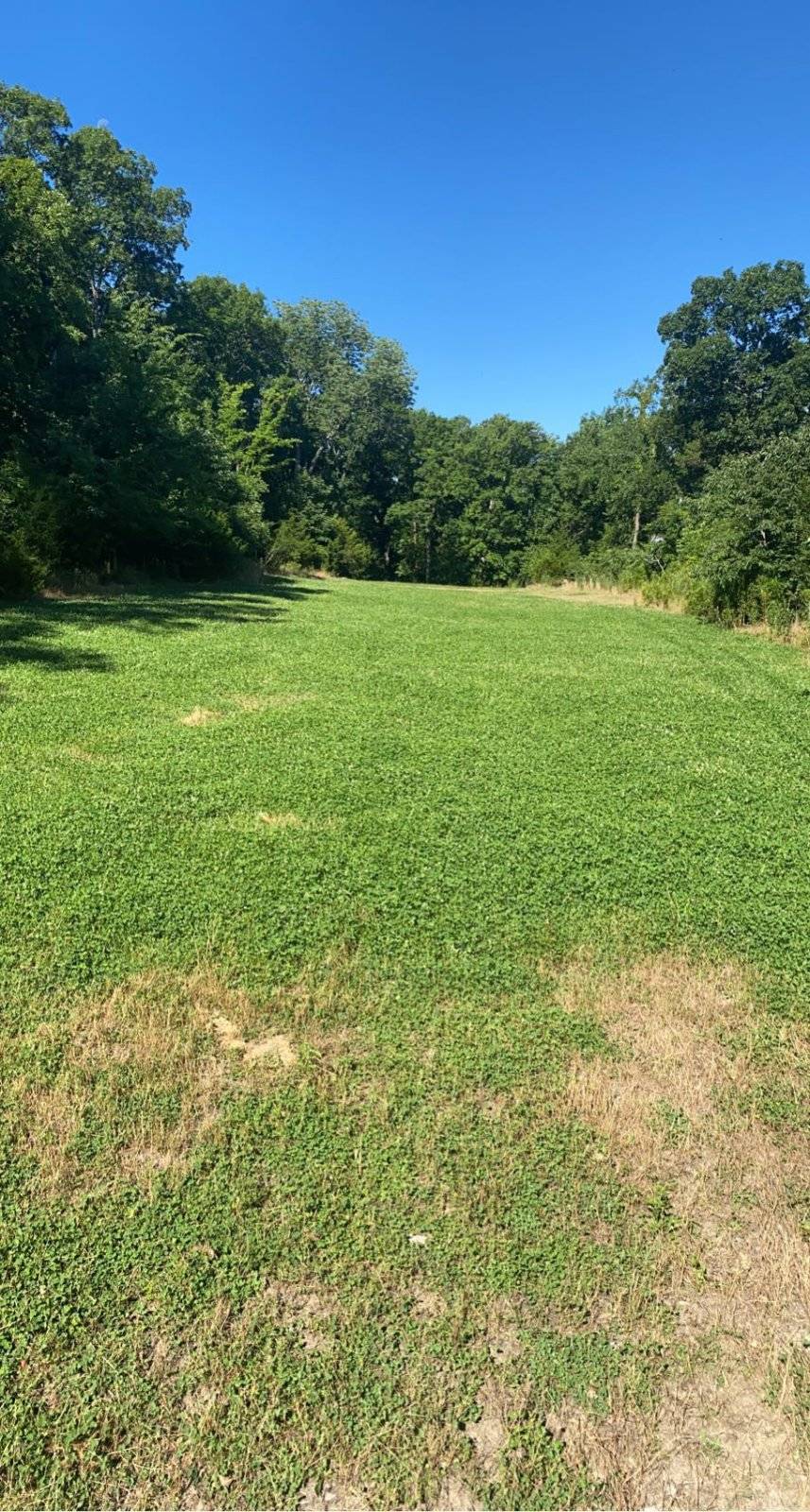 Clover Plot.JPG