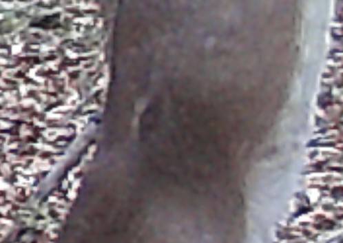 DSCF0124~2.JPG