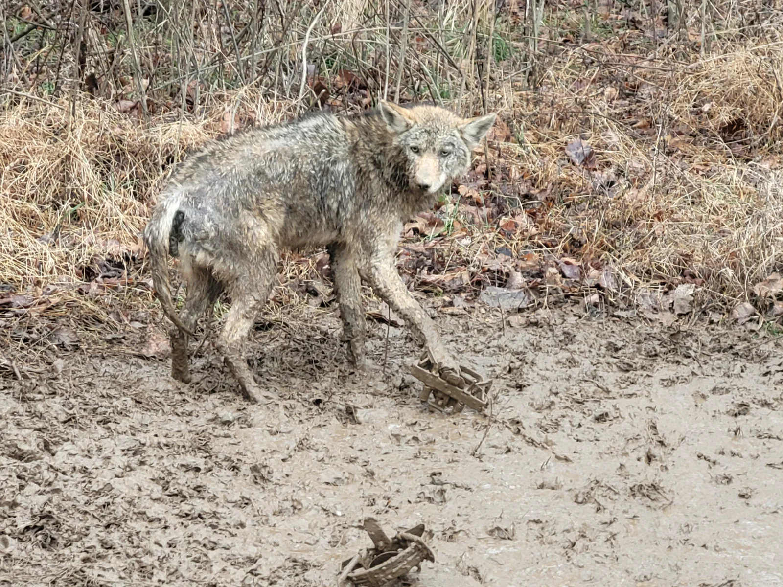 20201231_155706.webp