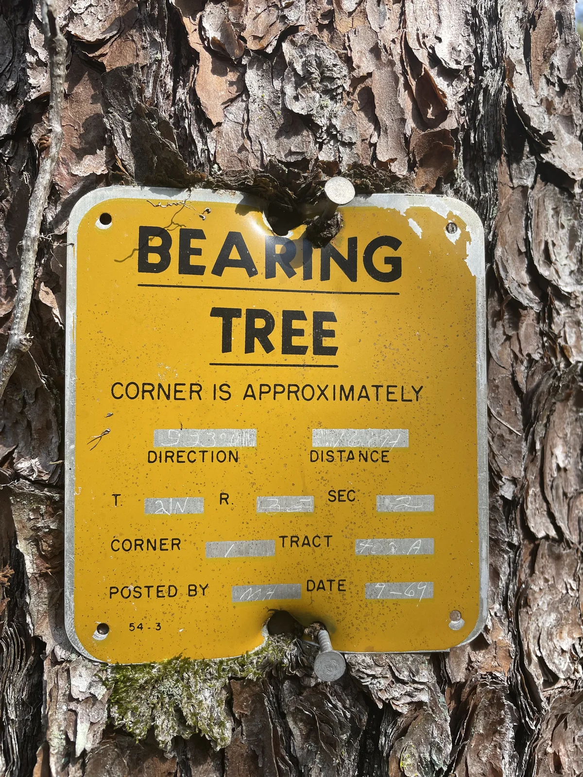 Bearing tree signs? | Tennessee Deer Sporting & Deer Hunting Community ...