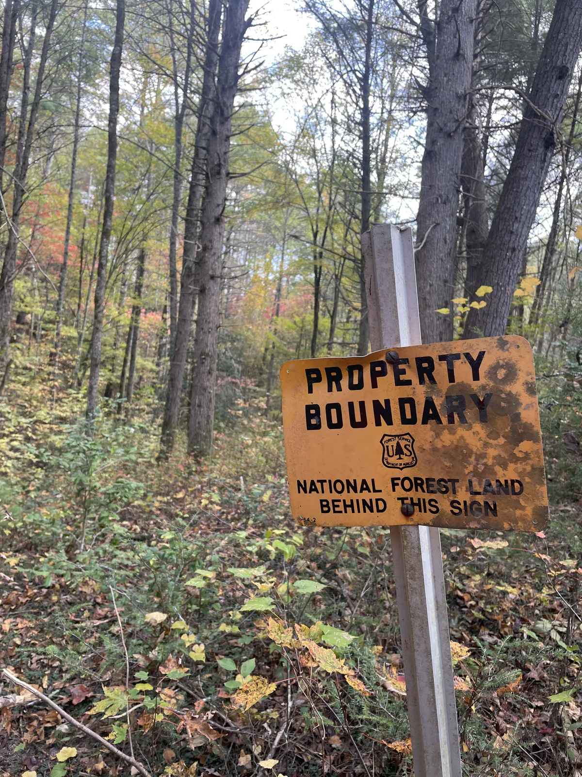 Bearing tree signs? | Tennessee Deer Sporting & Deer Hunting Community ...