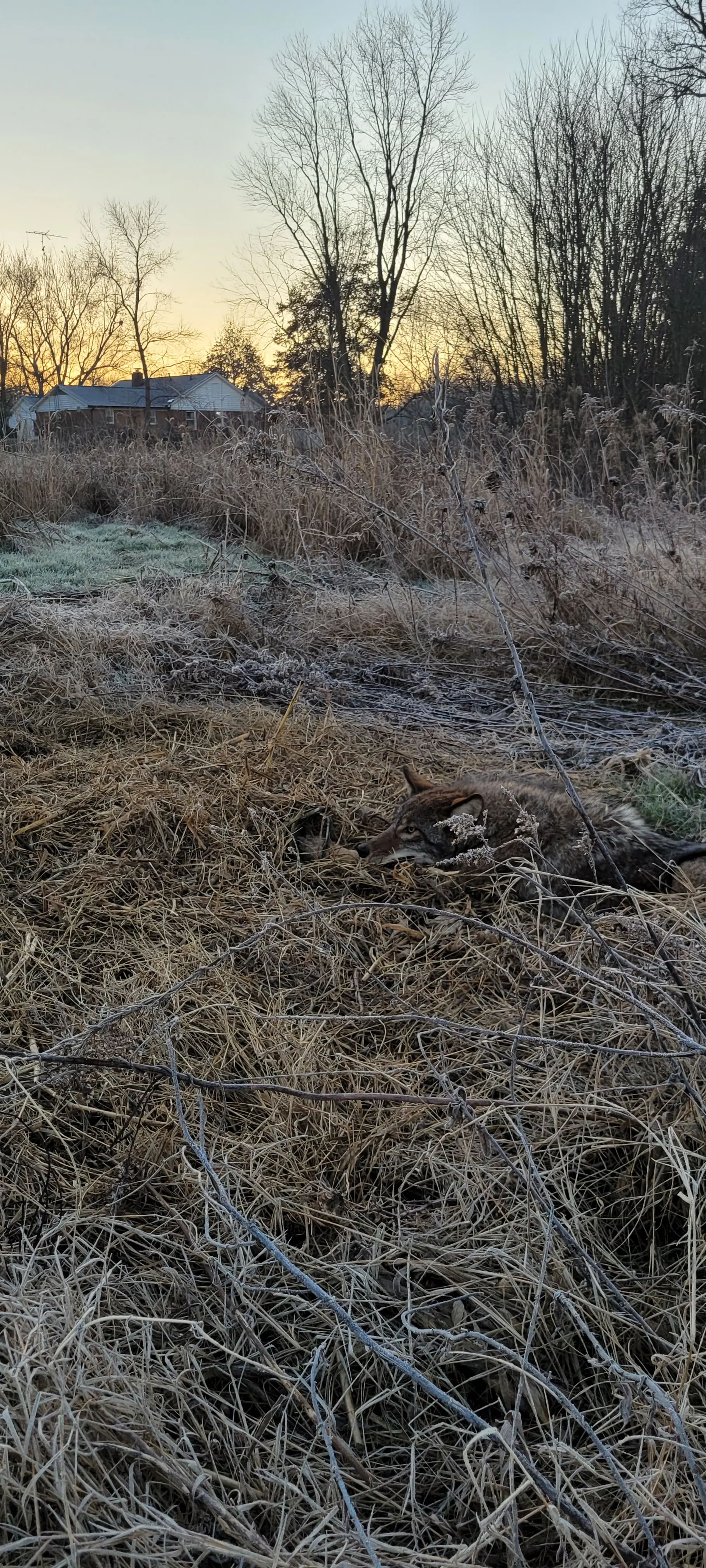 20260104_071714.webp