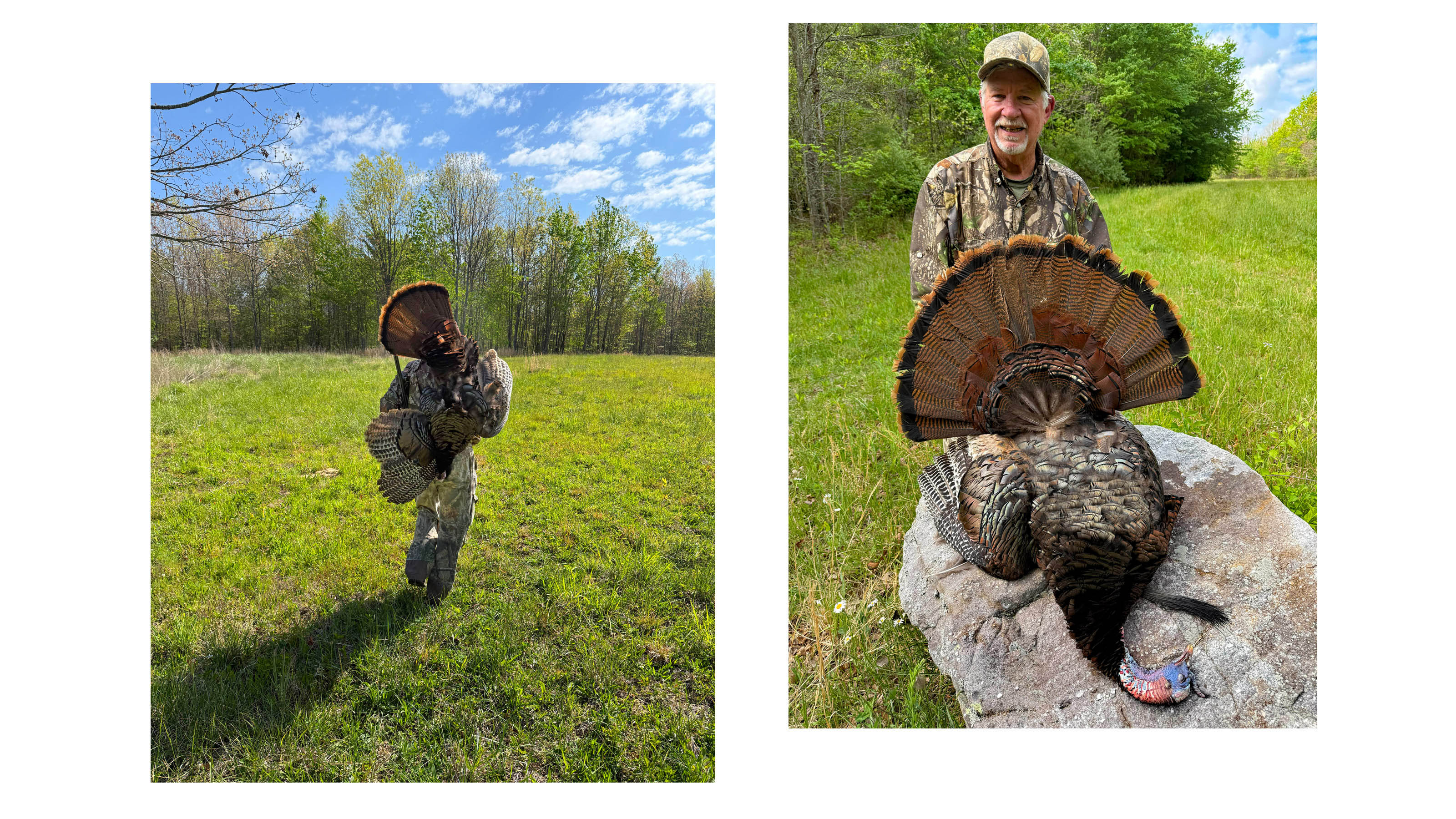 NC9_Final_Turkey_Hunt2.jpg