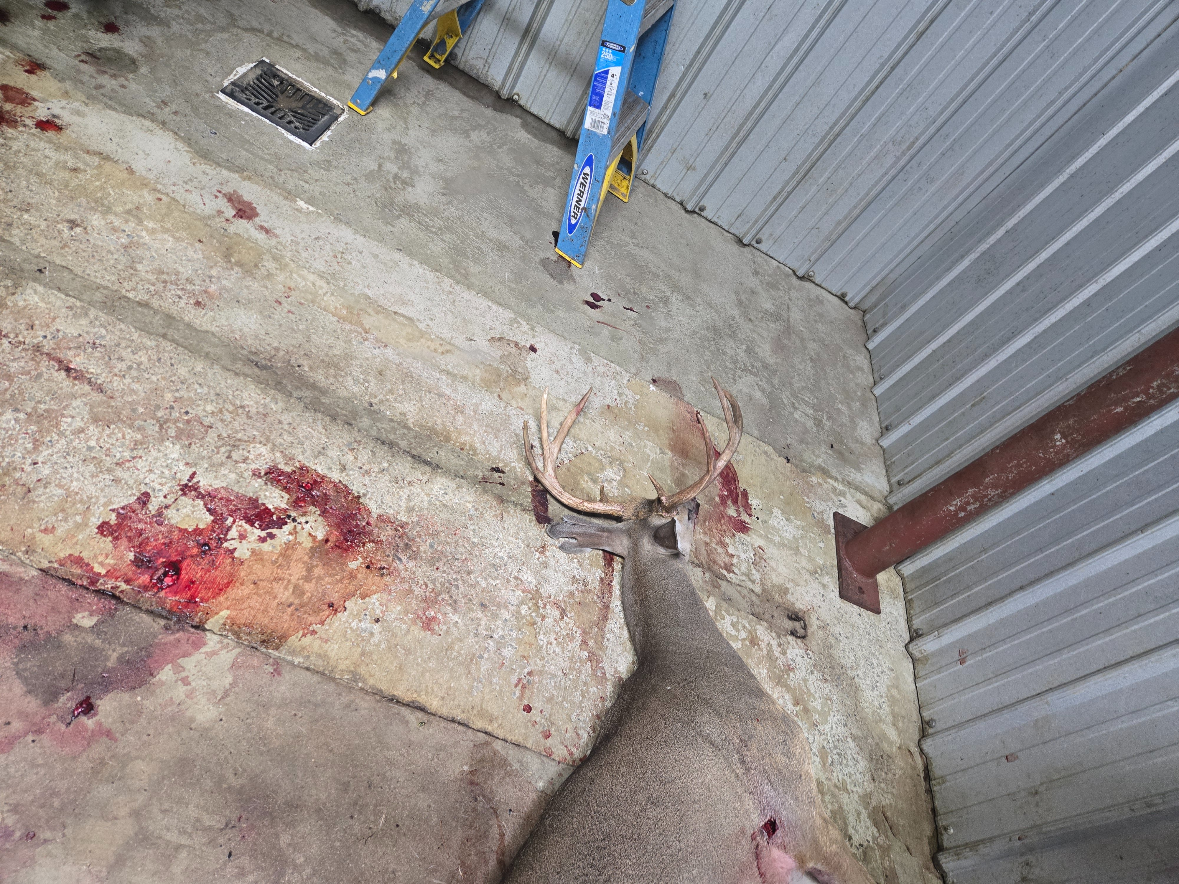 2026 Kill Thread | Page 2 | Tennessee Deer Sporting & Deer Hunting ...