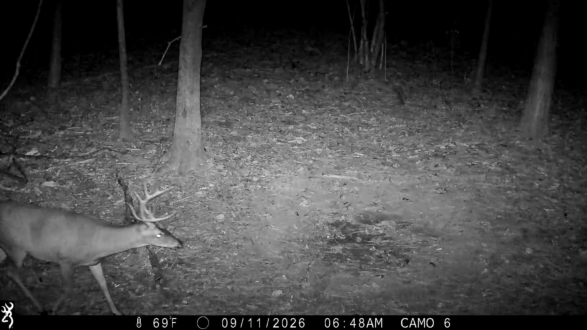 Summer Patterns | Tennessee Deer Sporting & Deer Hunting Community Forum