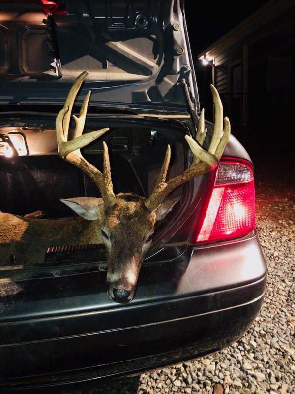 ga buck 1.jpg