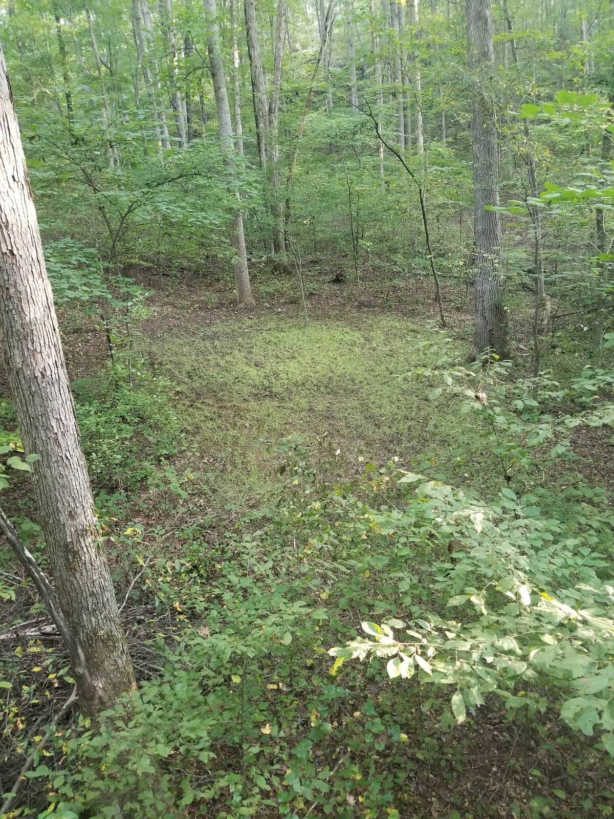 20210925_083154.jpg