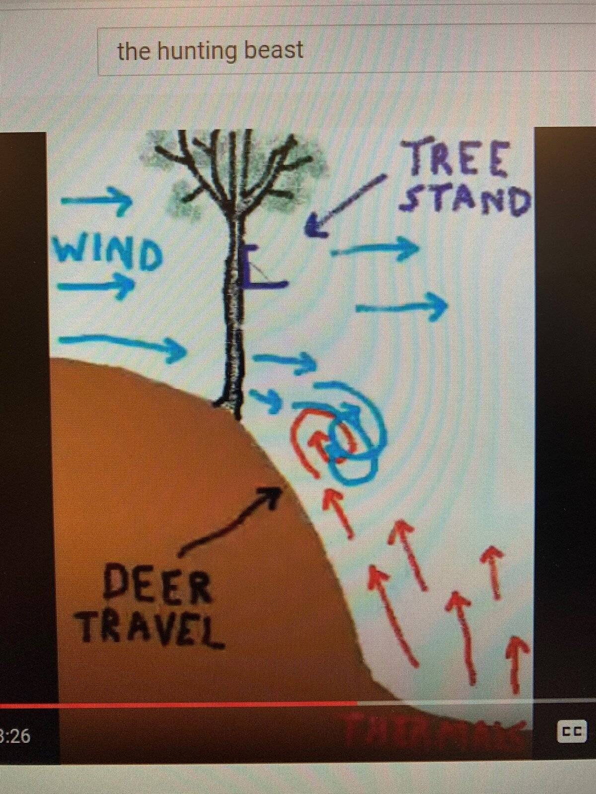 wind1.jpg