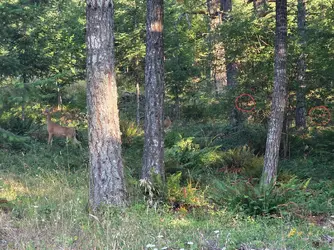 20250711_070248~2.webp