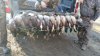 20160128_155545.jpg