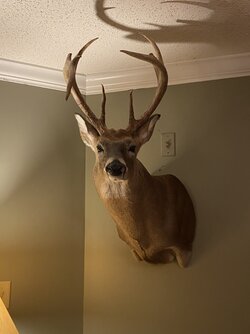 C51E1231-D70E-42A3-A75E-138B5F6F0A9F.jpeg