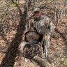 .300 WSM