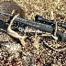 Bulldog25