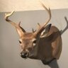 Archery_Research