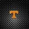 Tenn.Guy