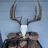 Bayou Buck