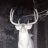 backstraps