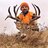DeerCamp