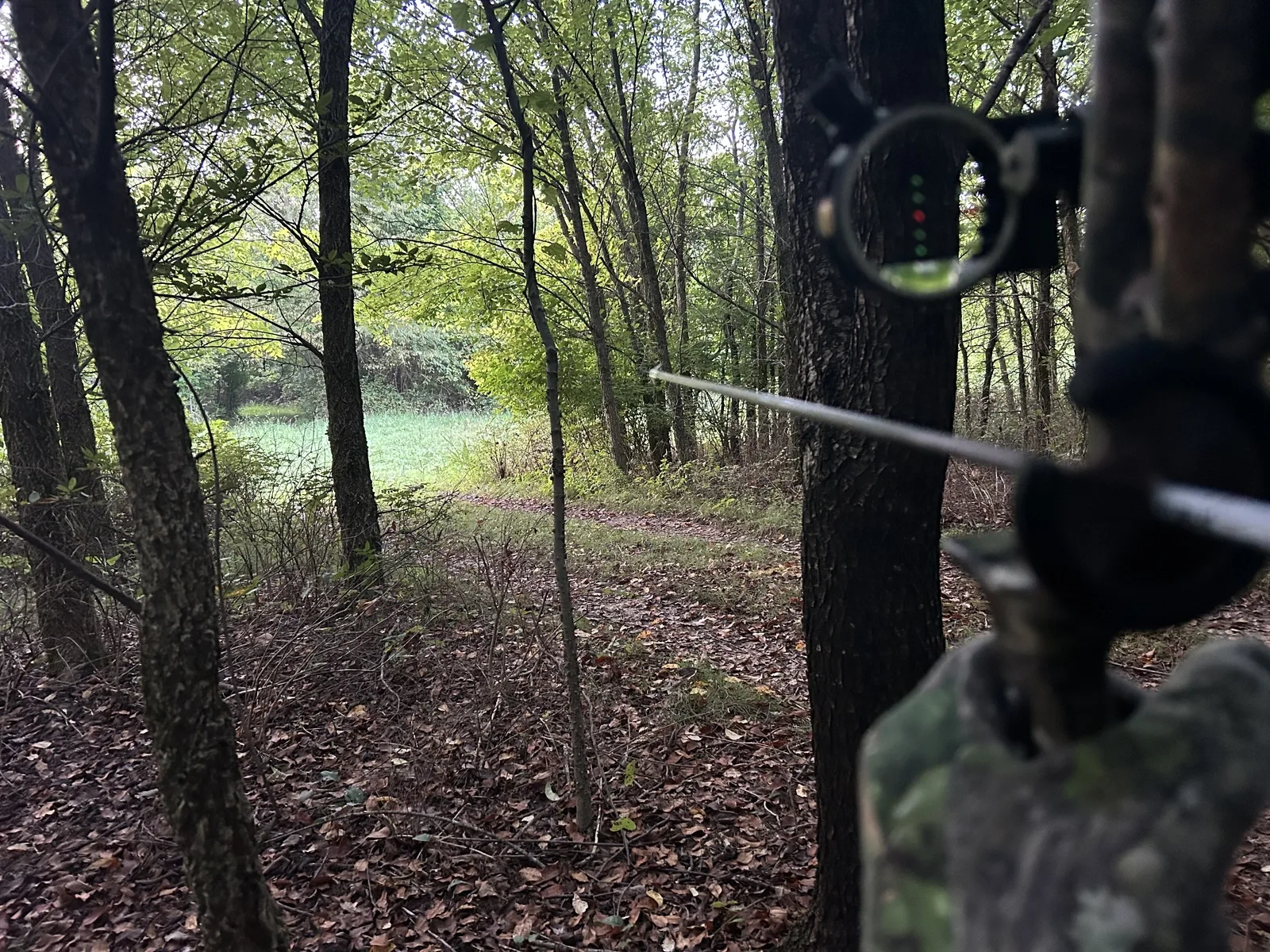 Remington 760 Trigger Job | Tennessee Deer Sporting & Deer Hunting ...